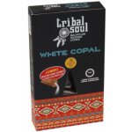 Tribal Soul Vonné kužely Tekoucí dým White Copal 10 ks – Hledejceny.cz