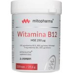 Dr. Enzmann Vitamin B12 MSE 120 kapslí – Hledejceny.cz