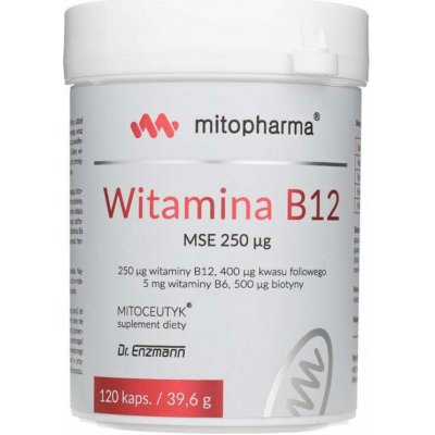 Dr. Enzmann Vitamin B12 MSE 120 kapslí – Hledejceny.cz