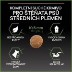 Purina Pro Plan Medium Puppy Healthy Start kuře 12 kg – Zboží Dáma