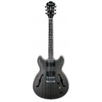 Ibanez AS 53 – Hledejceny.cz