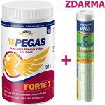 Vitar Veterinae Artivit Pegas Forte 7 prášek 700 g – Zboží Mobilmania