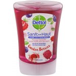 Dettol náplň do dávkovače mýdla Lesní plody 250 ml – Zboží Dáma