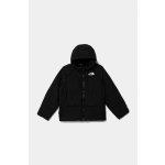 The North Face North Down Hooded Jacket černá – Hledejceny.cz