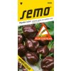 Osivo a semínko Semo Paprika Habanero Chocolate - zel. velmi silně pálivá 15s /SHU 450 000/