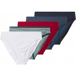 esmara Dámské vánoční kalhotky 5 kusů modrá červená zelená bílá – Zboží Dáma