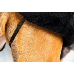 Samohýl Exclusive Vesta softshell Bandy – Zboží Dáma