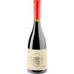 Wine people Kvevri červené Tavkveri 2020 Wine People suché 11,5% 0,75 l (holá láhev) – Hledejceny.cz