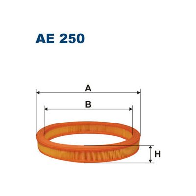 FILTRON Vzduchový filtr AE250 – Zboží Mobilmania