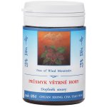 TCM Herbs Průsmyk větrné hory 100 tablet – Hledejceny.cz
