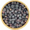 Sušený plod Zdravoslav Borůvky kanadské lyofilizované 4 x 50 g