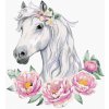 Dětské korálky zuty Diamantové malování (s rámem) - Bílý kůň s pivoňkami