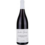 Jaroslav Springer Pinot Noir Záhřebenské 2022 13% 0,75 l (holá láhev) – Hledejceny.cz