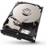 Seagate 1TB, 64MB, SATAIII, ST1000DX001 – Zboží Živě