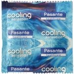 Pasante cooling 1 ks – Zbozi.Blesk.cz