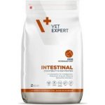 VetExpert Veterinary Diet 4T Intestinal Dog 12 kg – Zboží Mobilmania