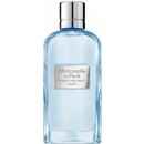 Abercrombie & Fitch First Instinct Blue toaletní voda pánská 100 ml tester