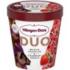 Zmrzlina Häagen-Dazs Duo Belgian Chocolate & Strawberry Crunch 420ml