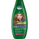 Schauma Push Up šampon 400 ml