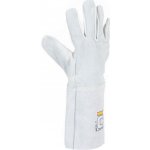 Cerva MARTIUS – Sleviste.cz