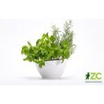Plastia Samozavlažovací květináč Doppio bílá 14 cm – Hledejceny.cz