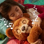 Hasbro FurReal Friends Blueberry medvěd Cubby – Zboží Dáma