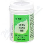 AKH Artemisia vulgaris 60 tablet – Hledejceny.cz