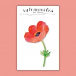 ePiPí Nažehlovačka Vlčí mák – Zbozi.Blesk.cz