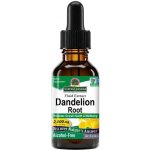 Nature's Answer Dandelion Extract 30 ml – Hledejceny.cz