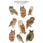 ePiPí Arch nažehlovaček Sovy – Zboží Dáma