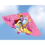 Günther DISNEY PRINCESS 115 x 63 cm – Hledejceny.cz