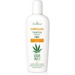 Cannaderm Capillus seborea s CBD+ 150 ml – Zboží Mobilmania