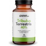 Natural Nutrition Tribulus Terrestris 40% extrakt 90 kapslí – Hledejceny.cz