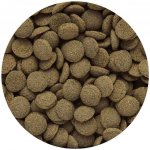 Hikari Sinking Wafers 1 kg – Hledejceny.cz