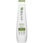 Matrix Biolage Strength Recovery Shampoo 250 ml – Zbozi.Blesk.cz