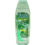 Tania Naturals březový šampon 500 ml – Hledejceny.cz