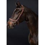 PresTeq Uzdečka FaySport anatomická hnědá – Zbozi.Blesk.cz