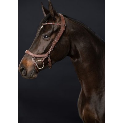 PresTeq Uzdečka FaySport anatomická hnědá – Zbozi.Blesk.cz