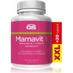 GS Mamavit 1 Plánování a 1.trimestr 110 tablet – Hledejceny.cz