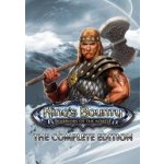 Kings Bounty: Warriors of the North Complete – Hledejceny.cz