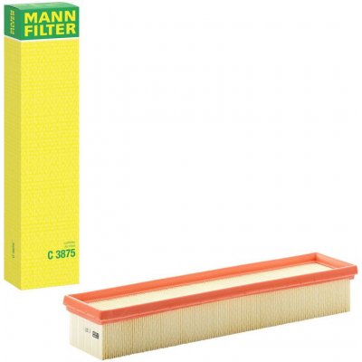 MANN-FILTER Vzduchový filtr MANN C3875 (MF C3875) – Hledejceny.cz