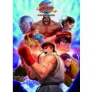 Street Fighter (30th Anniversary Collection)