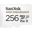 SanDisk microSDHC 256 GB SDSQQNR-256G-GN6IA