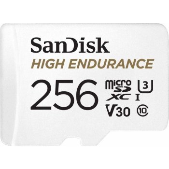 SanDisk microSDHC 256 GB SDSQQNR-256G-GN6IA