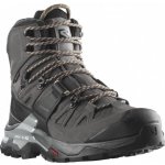 Salomon Quest 4 GTX W 470002 dámské nepromokavé magnet/black/sun kiss – Hledejceny.cz