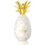 Pinaq Colada 17% 1 l (holá láhev) – Zbozi.Blesk.cz