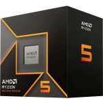 AMD Ryzen 5 9600 100-100000718BOX – Zboží Živě