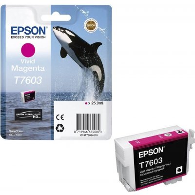 Epson T7603 - originální – Hledejceny.cz