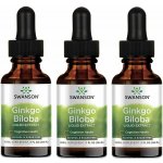 Swanson Ginkgo Biloba Extract Liquid 29,6 ml – Hledejceny.cz
