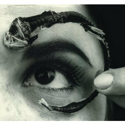 Mr. Bungle - Disco Volante LP – Zbozi.Blesk.cz